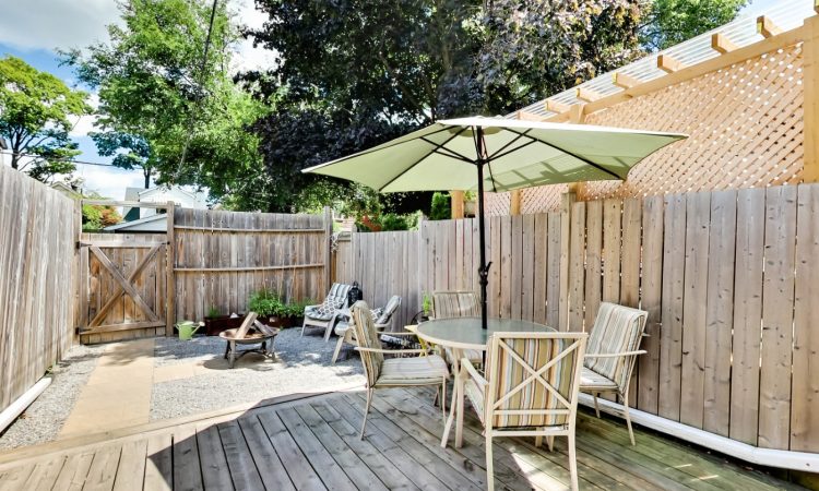 351 Greenwood Avenue Backyard