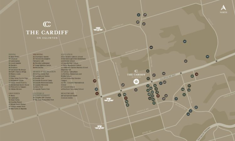 The Cardiff Aerial Map
