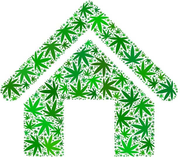 Animated House Made From Cannabis Leaves