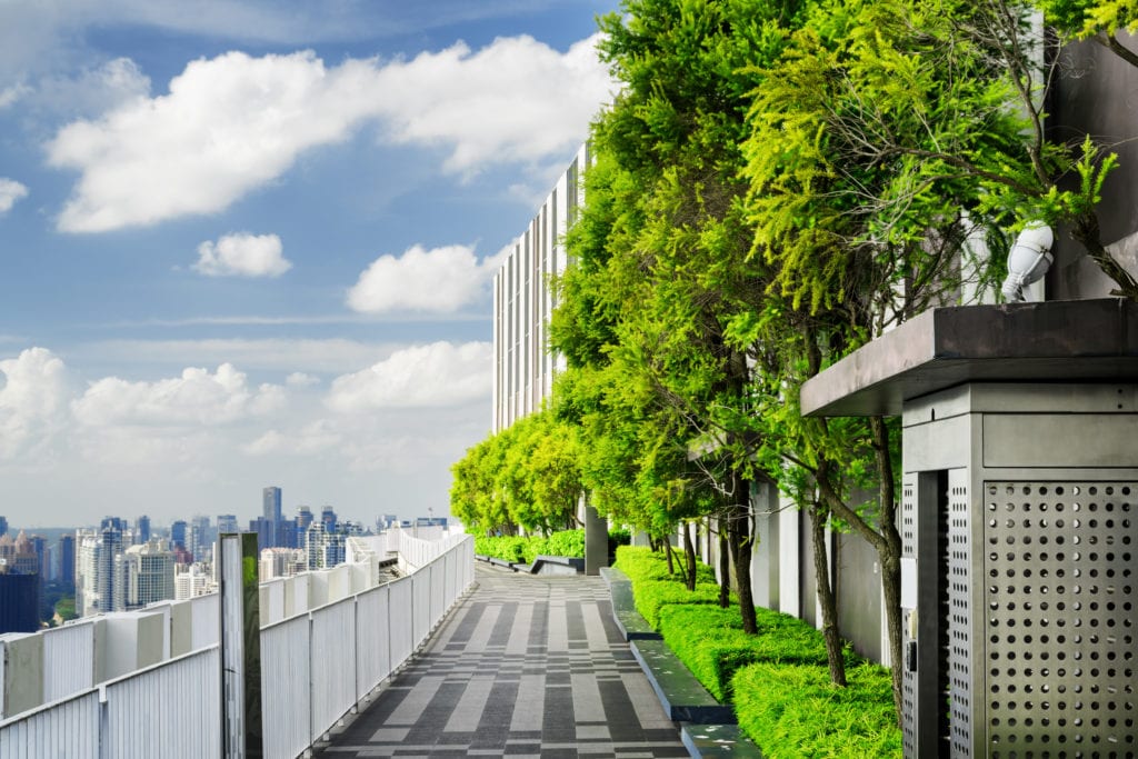 Shrubs and Trees on Condo Roof