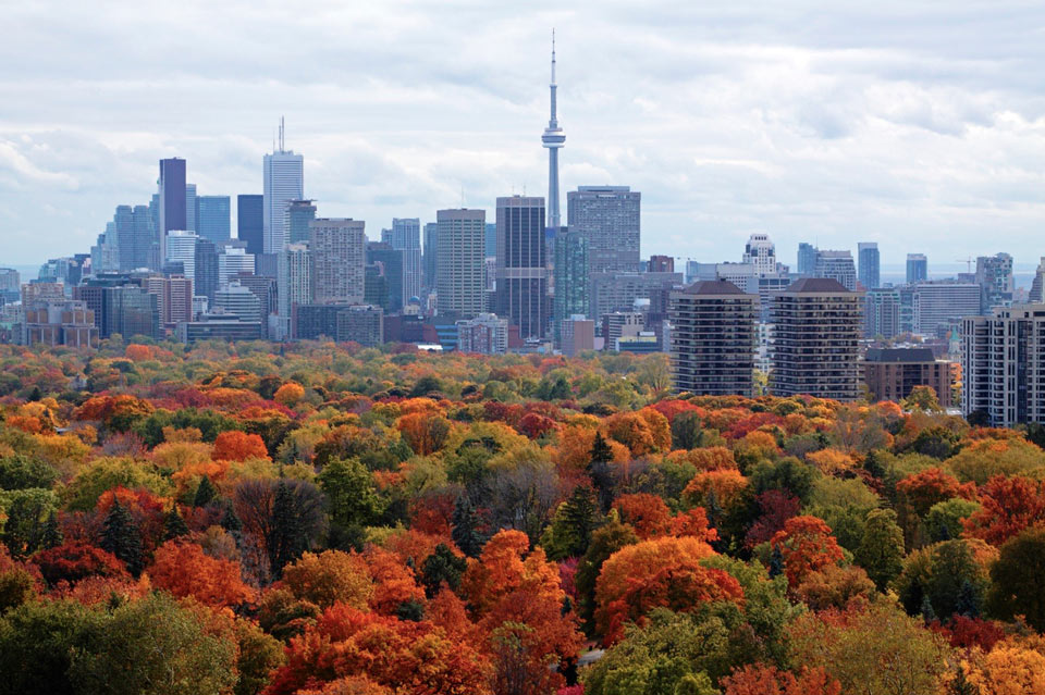 Toronto skyline with fall colours